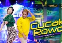 Lirik Lagu Cucak Rowo – Difarina Indra, Fendik Lirik Lagu Cucak Rowo - Difarina Indra, Fendik
