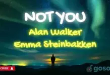 Lirik Lagu Not You - Alan Walker, Emma Steinbakken