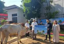Idul Adha 1444 H, BNI Berbagi 730 Hewan Qurban