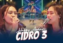 Lirik Lagu Cidro 3 - Happy Asmara