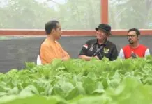 Presiden RI Kunjungi Desa Berdaya Taman Inspirasi Waibu Papua, Binaan PLN