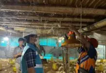Pertanian Modern Berbasis Listrik Kian Berkembang, Program Electrifying Agriculture PLN Tumbuh 22,28 Persen