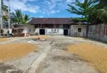 Electrifying Agriculture PLN Mampu Tekan Biaya Usaha Penggilingan Padi di Sumbar Hingga Puluhan Juta