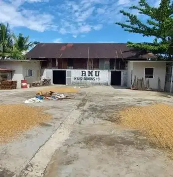 Electrifying Agriculture PLN Mampu Tekan Biaya Usaha Penggilingan Padi di Sumbar Hingga Puluhan Juta