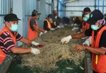 PLN Kembangkan Pembangkit Listrik dari Sampah dengan Kapasitas 17,7 MW di Palembang