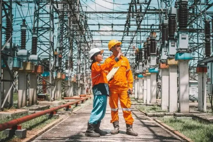 pln cek lapangan