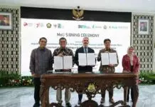 Teken MoU, PLN Siap Pasok Kawasan Industri Untuk Pengembangan Green Hydrogen dan Green Ammonia