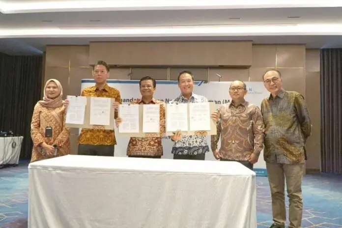 PLN dan Haleyora