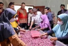 Menkop UKM: Hilirasi Bawang Merah Jadi Solusi Jitu Tingkatkan Kesejahteraan Petani Brebes Menkop UKM: Hilirasi Bawang Merah Jadi Solusi Jitu Tingkatkan Kesejahteraan Petani Brebes