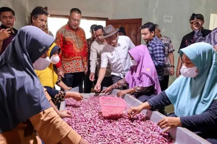 Menkop UKM: Hilirasi Bawang Merah Jadi Solusi Jitu Tingkatkan Kesejahteraan Petani Brebes Menkop UKM: Hilirasi Bawang Merah Jadi Solusi Jitu Tingkatkan Kesejahteraan Petani Brebes