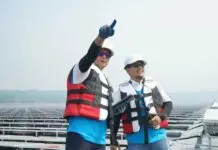 Pembangunan PLTS Terapung Cirata Hampir Tuntas, Dirut PLN: Akan Menjadi yang Terbesar di Asia Tenggara Pembangunan PLTS Terapung Cirata Hampir Tuntas, Dirut PLN: Akan Menjadi yang Terbesar di Asia Tenggara