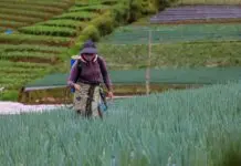 Kemenkop UKM Turut Perkuat Upaya Digitalisasi dan Hilirisasi Koperasi Pertanian di ASEAN Kemenkop UKM Turut Perkuat Upaya Digitalisasi dan Hilirisasi Koperasi Pertanian di ASEAN