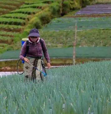 Kemenkop UKM Turut Perkuat Upaya Digitalisasi dan Hilirisasi Koperasi Pertanian di ASEAN