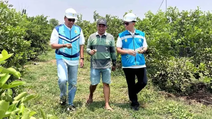 Makin Diminati, Program Electrifying Agriculture PLN Capai 230 Ribu Pelanggan Hingga Triwulan III 2023 Makin Diminati, Program Electrifying Agriculture PLN Capai 230 Ribu Pelanggan Hingga Triwulan III 2023