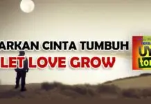 Lirik Lagu Biarkan Cinta Tumbuh Sebisanya - Abil Ska 86, Nikisuka