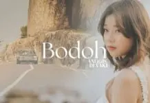 Lirik Lagu Bodoh - Anggis Devaki