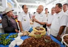 Kemenkop UKM Revitalisasi Pasar Kareka Nduku Selatan untuk Penuhi Kebutuhan Masyarakat Sumba Barat Kemenkop UKM Revitalisasi Pasar Kareka Nduku Selatan untuk Penuhi Kebutuhan Masyarakat Sumba Barat