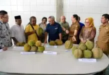 Kemenkop UKM: Ekosistem Bisnis Kondusif, Durian Lokal Mampu Bersaing di Pasar Global Kemenkop UKM: Ekosistem Bisnis Kondusif, Durian Lokal Mampu Bersaing di Pasar Global