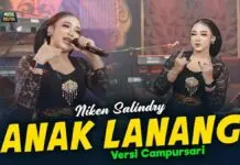 Lirik Lagu Anak Lanang – Niken Salindry Lirik Lagu Anak Lanang - Niken Salindry