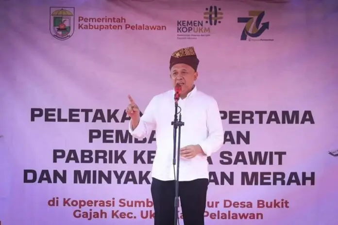menkop ukm