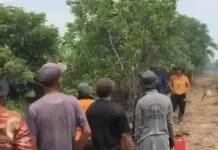 Kebakaran di Teluk Dawan Berhasil Dipadamkan Berkat Kerja Sama Tim Polsek, Kodim 0419/Tanjab dan Satgas Karhutla