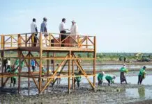 Program Percepatan Swasembada Untuk Kesejahteraan Masyarakat Papua