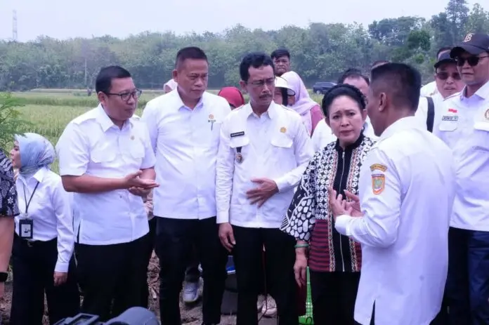 Komisi IV DPR Tinjau Program Pompanisasi Kementan di Sukoharjo, Berdampak Besar Pada Naiknya Indeks Pertanaman