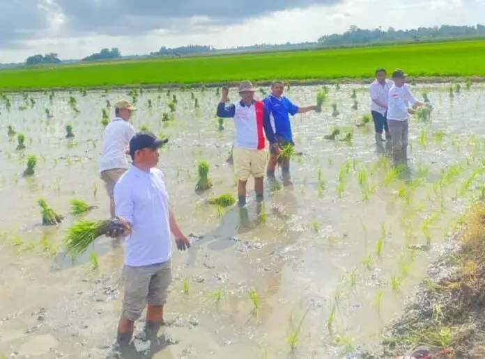 Pangkas 145 Regulasi, Kebijakan Distribusi Pupuk Langsung Ke Petani Dinilai Tepat