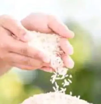 Akademisi IPB Soroti Kasus Beras Oplosan, Kecurangan Industri Agribisnis Mainkan Mutu Produk Jangan Dinormalisasi