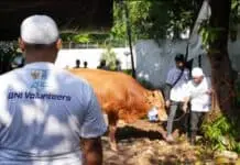 BNI Distribusikan 1.200 Hewan Kurban ke Berbagai Daerah Indonesia